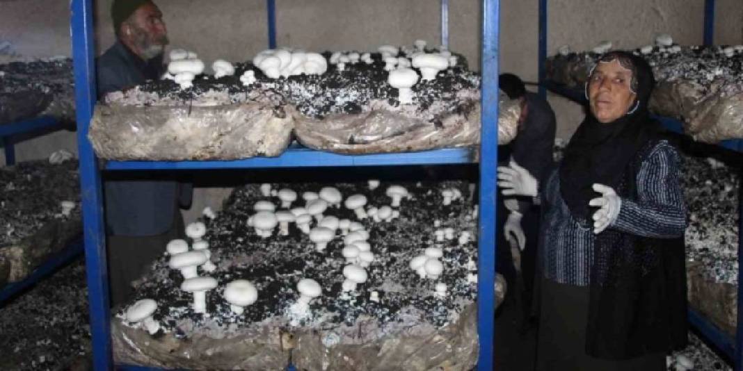 2.000 yıllık mağarayı üretim tesisi yaptı: Her ay 3 ton ürün elde ediyor 4